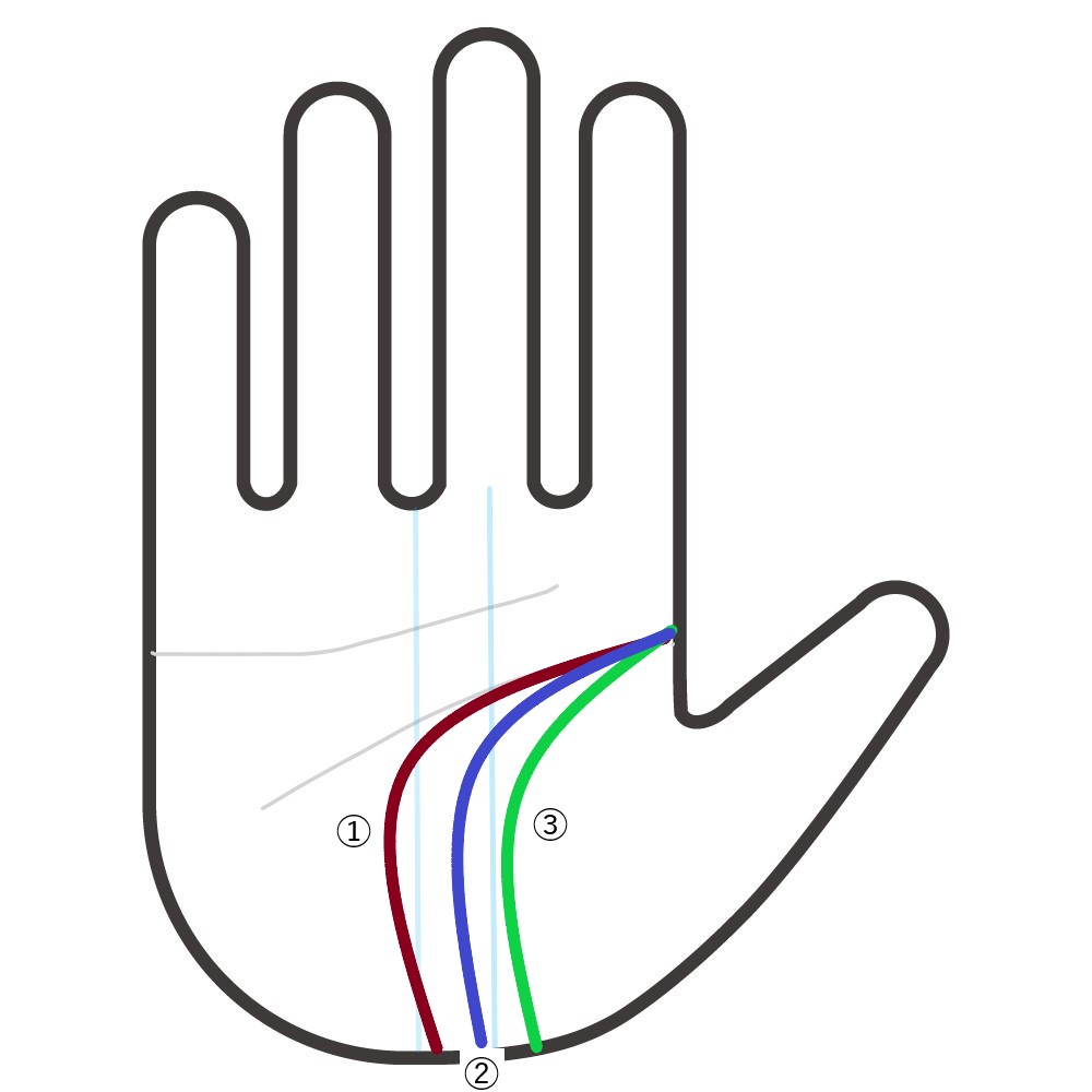 体力も抜群で精神力も抜群の手相